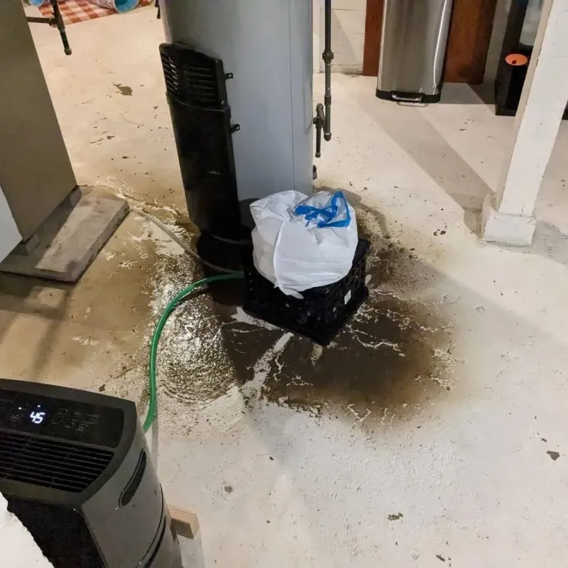 Sewage Backup Cleanup Service in Kamiah, ID